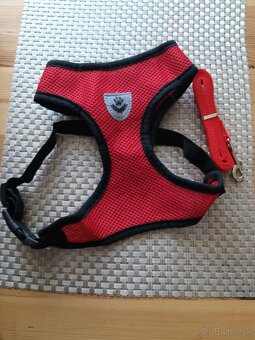 Postroj na psíka - 2