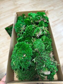 Stabilizovaný mach - 2