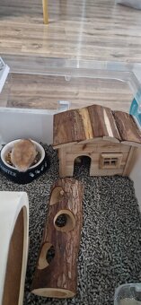 Klietka pre škrečka - 2