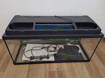 Akvarium 80l - 2