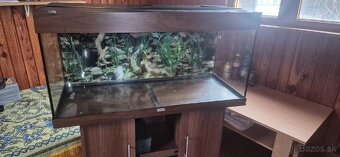 Akvarium JUWEL 150L - 2