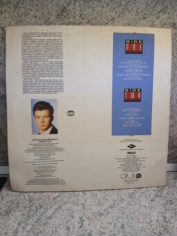 Rick Astley – Whenever You Need Somebody - 2