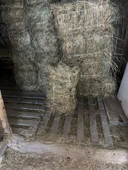 Malé balíky sena - 2