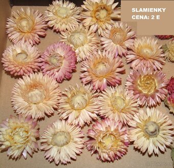 SUŠENÉ KVETY NA ĎALŠIU TVORBU - 2