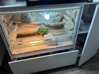 Terarium so skrinkou - 2