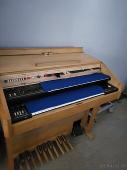 Delicia Vega, varhany, organ - 2