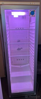 Presklené chladničky Calex CFC FREE, CV-370 - 2