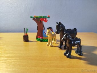 Lego - dievčenské - 2