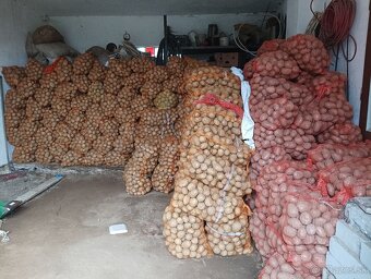 Predám zemiaky - 2