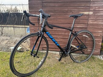 Giant Contend 2021 - 2