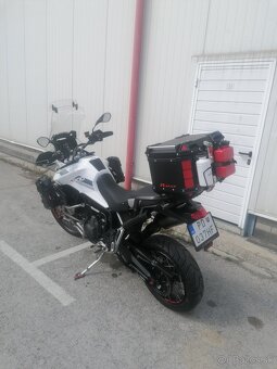 Triumph tiger 900 rally pro - 2