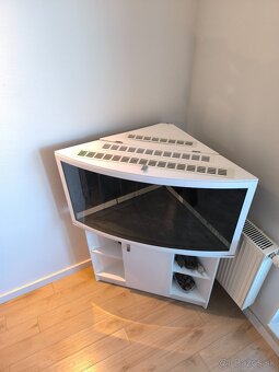 predám zachovalé akvárium/paludárium - 2