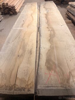 Dubové foršne Ačkove - 2