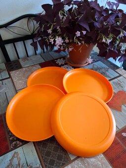 Allegra tanier orange od Tupperware - 2