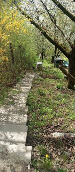 Záhrada Ťahanovce - 2