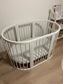 Rastúca postielka - 2