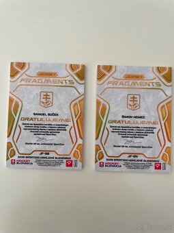 Hokejové Slovensko Dres Fragments, hokejové kartičky - 2