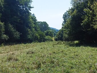 Predam pozemok 1,7ha Detva - 2