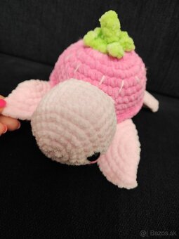 Háčkovaná korytnačka - 2