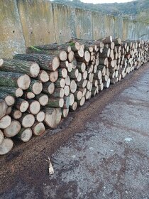Palivove drevo tvrdé buk dub rôzne dĺžky - 2