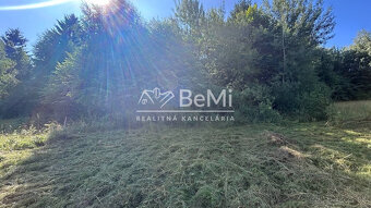 Na predaj pozemok – orná pôda v Hriňová – časť Slanec - 2