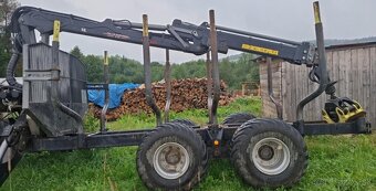 Vyvozka palms 10 d - 2