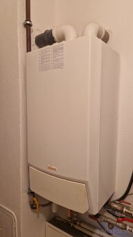 Predam Immergas victrix - 2