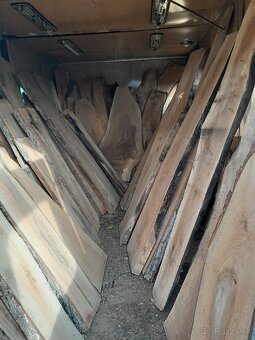 3 ročne orechové foršne - 2