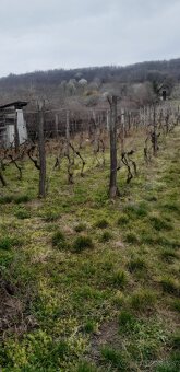 Predám pozemok s viničným domčekom - 2