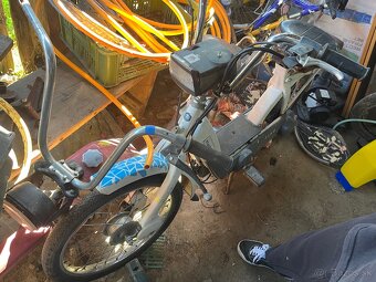 Piaggio Ciao - 2