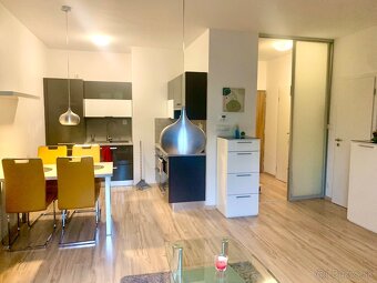 Prenajmem 1 izbový apartmán vedľa Veľkého Draždiaka - 2