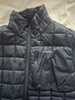 Head vesta - 2
