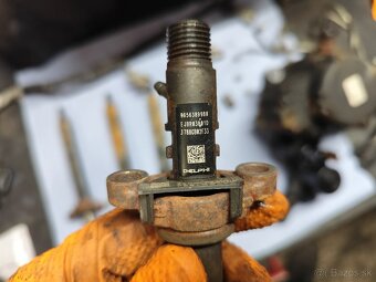 2.0 HDI RHR Vstreky + čerpadlo DELPHI - 2