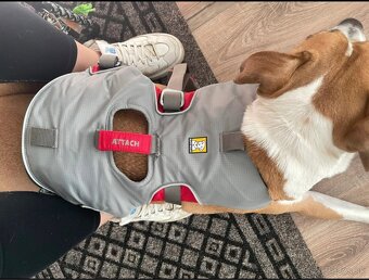 Ruffwear profesionálny postroj - 2