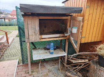 Ponukam kralikareň - 2