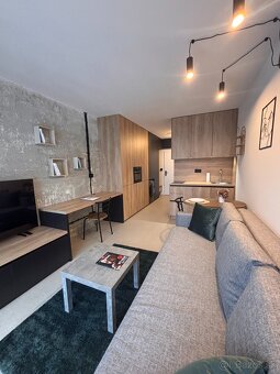 Plne zariadený 1-izbový byt - 2