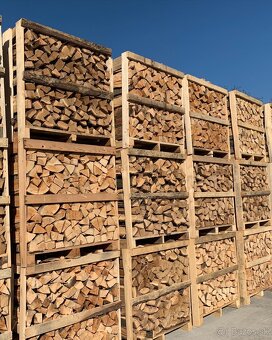 PALIVOVÉ DREVO - BUK - 2