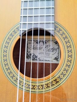 Klasická Gitara Spanielka - 2