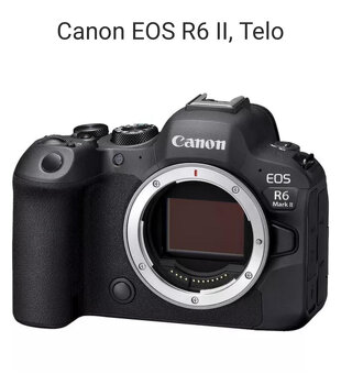 CANON R6 mark II - 2