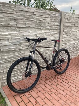 CTM rambler 1.0 “29 XL - 2