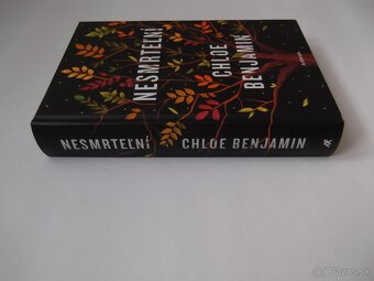 Chloe Benjamin-Nesmrteľní - 2