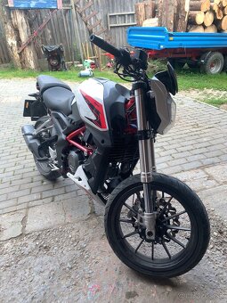 Benelli BN 251 - 2