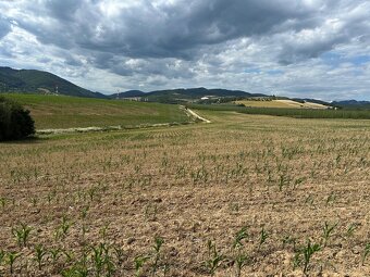 Na predaj krásny slnečný pozemok s výhľadom- Nemšová,5988 m2 - 2
