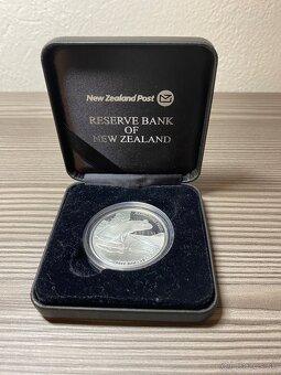 Hamilton's frog Strieborná minca - 2