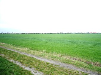 Predám pozemok v Rači - 2