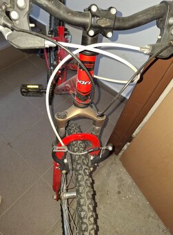 Bicykel Harry Jetty 24 - 2