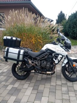 Triumph tiger 800 xr - 2