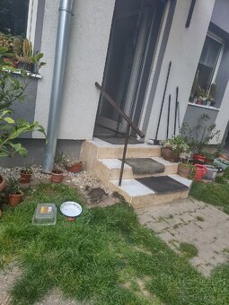 Darujem 2 mačky male - 2