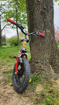 Dino bicykel 14 - 2
