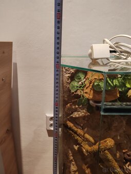 Terarium 80x50x35 - 2
